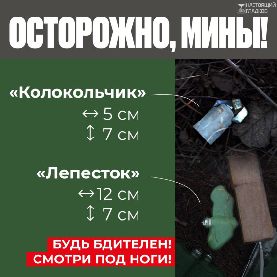 Дорогие жители Белгородской области! Уважаемые родители! .